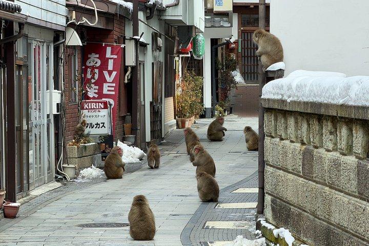 戸隠神社&スノーモンキー終日プライベートツアー