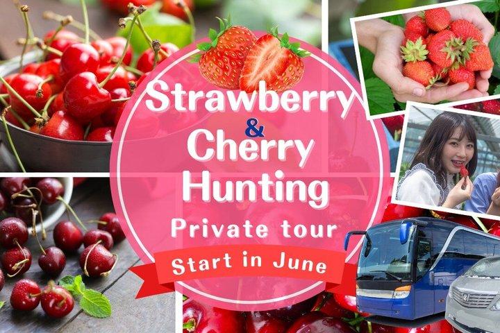 Cherry and Strawberry Hunting Sapporo Complete Package