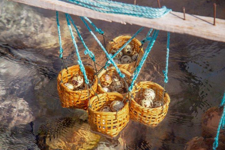 チェンマイ発チェンライ日帰り旅行（ランチ付き）
