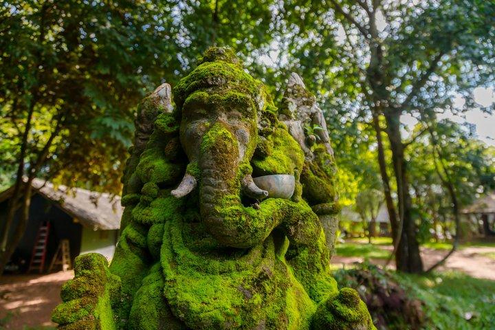 チェンマイ発チェンライ日帰り旅行（ランチ付き）