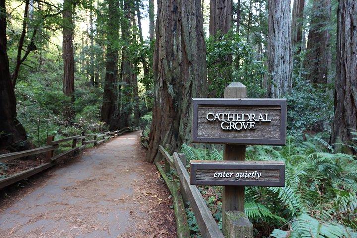 ミュアウッズとサウサリート日帰り旅行プラスロケットボートアドベンチャー