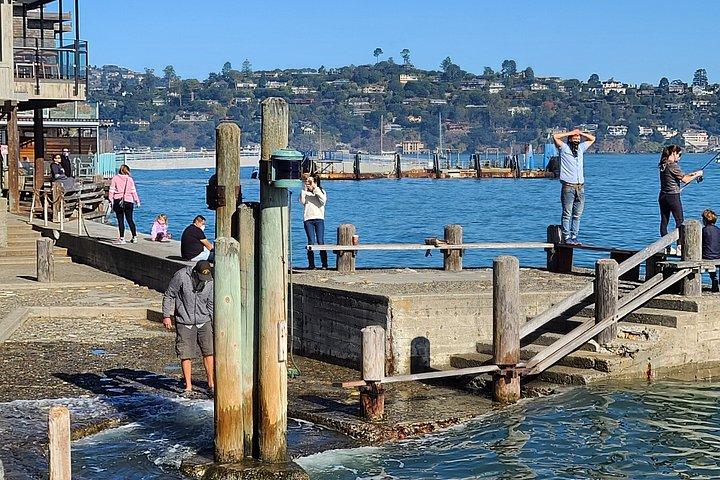 ミュアウッズとサウサリート日帰り旅行プラスロケットボートアドベンチャー