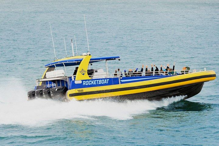 ミュアウッズとサウサリート日帰り旅行プラスロケットボートアドベンチャー