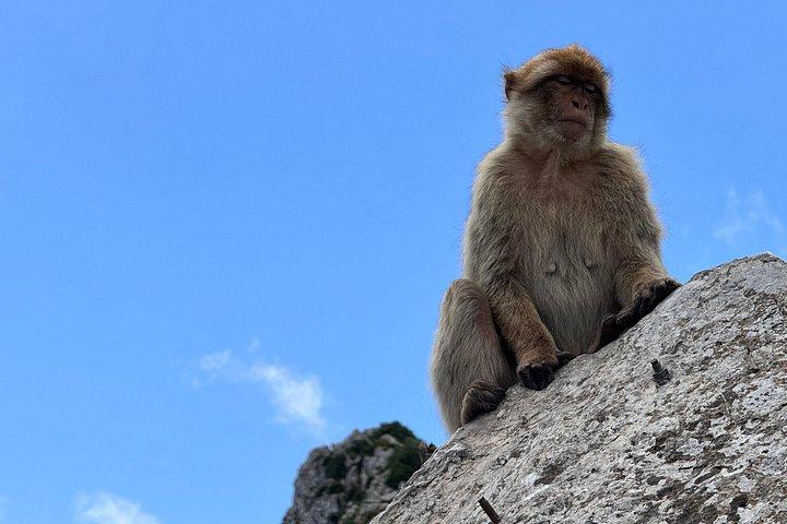 カディス発ジブラルタルプライベート日帰り旅行