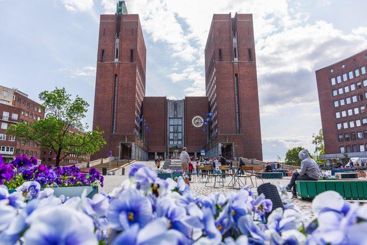 Oslo: Get Private City Tour with Guide & Driver by Luxury Minivan
