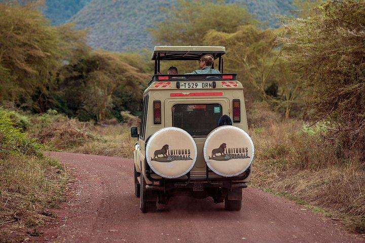 ザンジバルからタランギルとンゴロンゴロが飛来する2日間