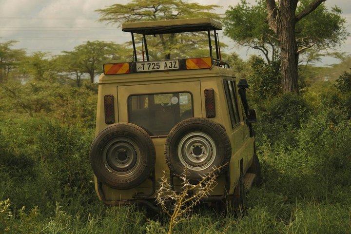 Dar es Salaam : 1 - Day Mikumi National Park Safari met gratis pick-up