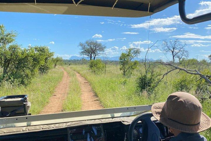 Dar es Salaam : 1 - Day Mikumi National Park Safari met gratis pick-up