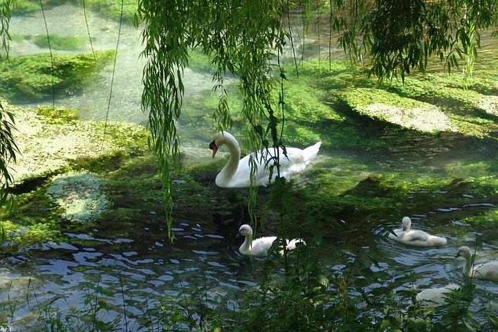 Private Northern Lagoon und Sile River Escape