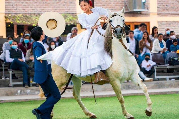 ランチ ショー - 送迎付きペルー馬の展示
