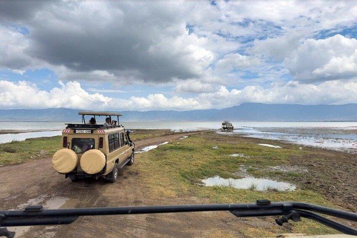 Nio dagars Safari Arusha Tarangire Serengeti Ngorongoro