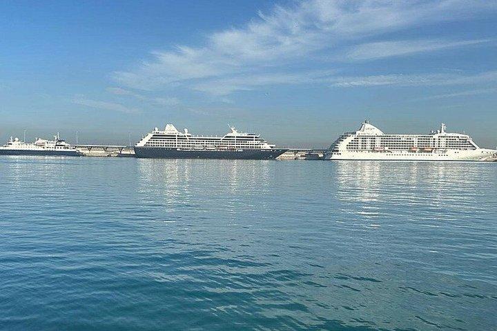 Escursione privata a terra a Casablanca con prelievo al porto.