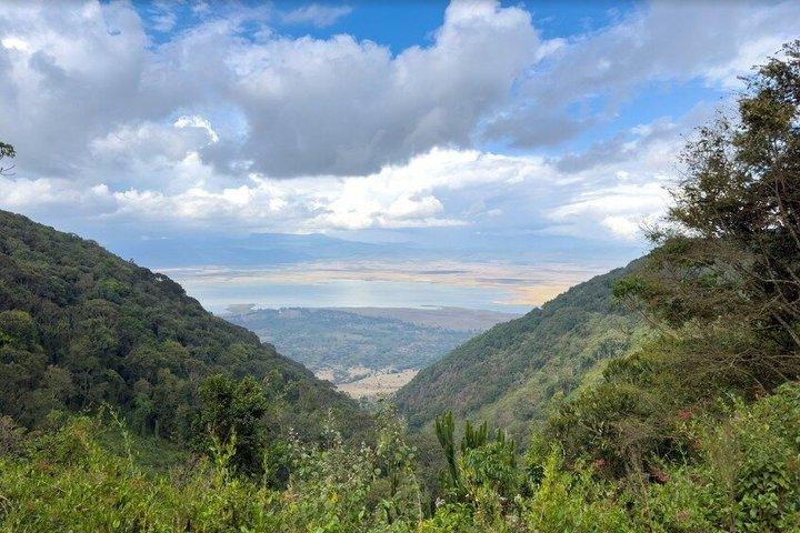 Aventura de 3 días en el Serengueti y el Safari Ngorongoro
