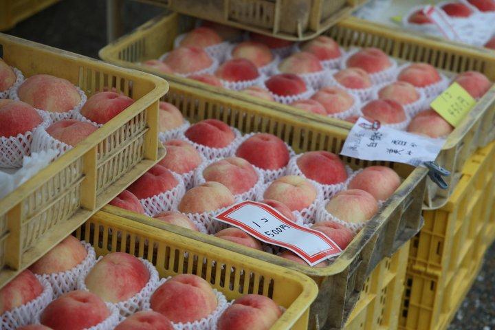 高山フードツアー｜朝市・酒・地元の隠れた逸品