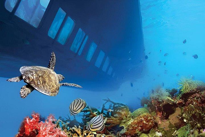 フルガダ・マカディ・ソーマ・ベイ・エル・ゴウナ・サファガからの半潜水艦ツアー