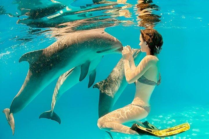 ザンジバル島ムネンバ島シュノーケリング＆イルカウォッチングツアー