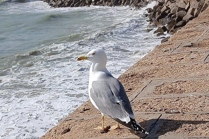 カディス観光：歴史的画像を通して過去へ旅する