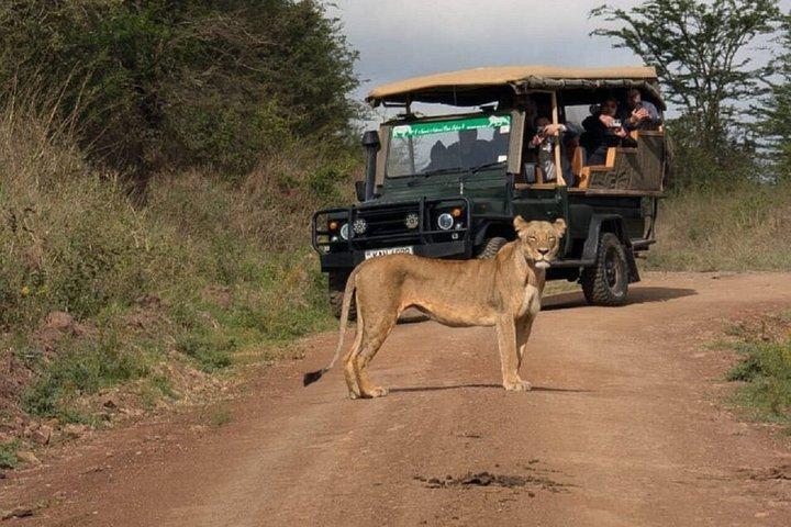 Nairobi : 5 - Heure Parc national de Nairobi Safari Matin et soir