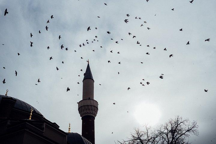 Street Photography Walks and Talks in Sofia