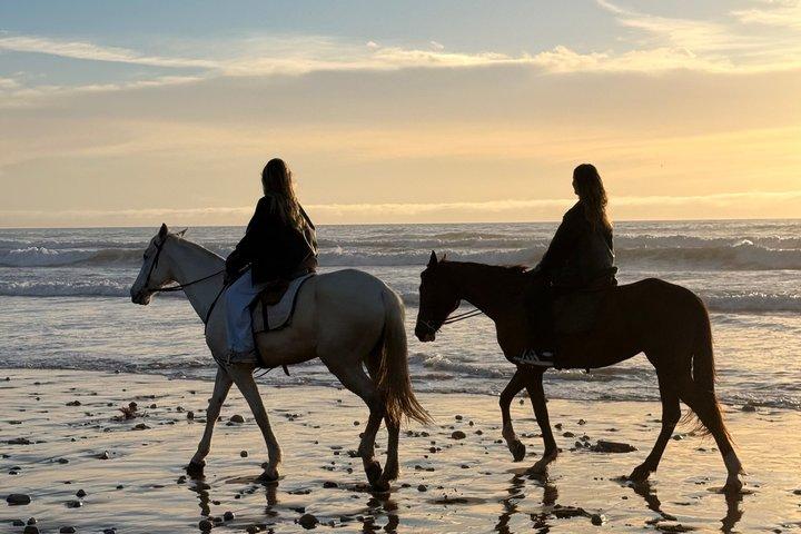 Agadir Horse Riding Experience on the Beach with Sunset Option