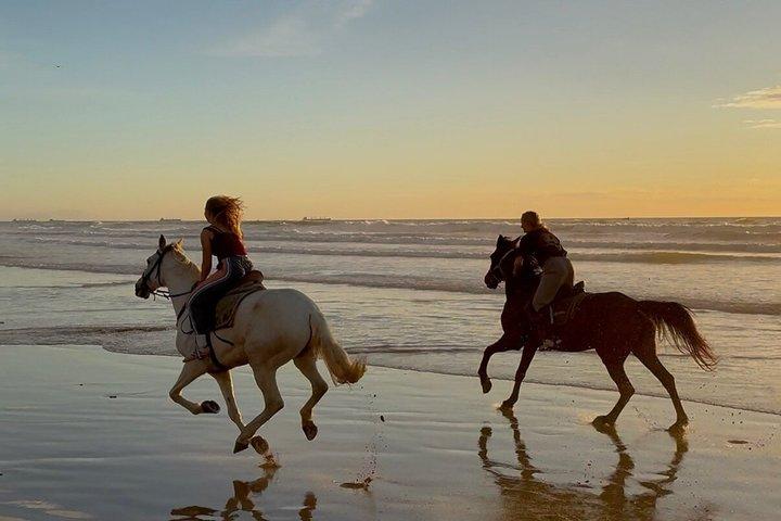 Agadir Horse Riding Experience on the Beach with Sunset Option