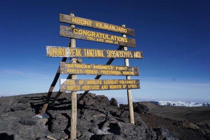 マサイ・マーラ、セレンゲティ、キリマンジャロ登山サファリ21日間