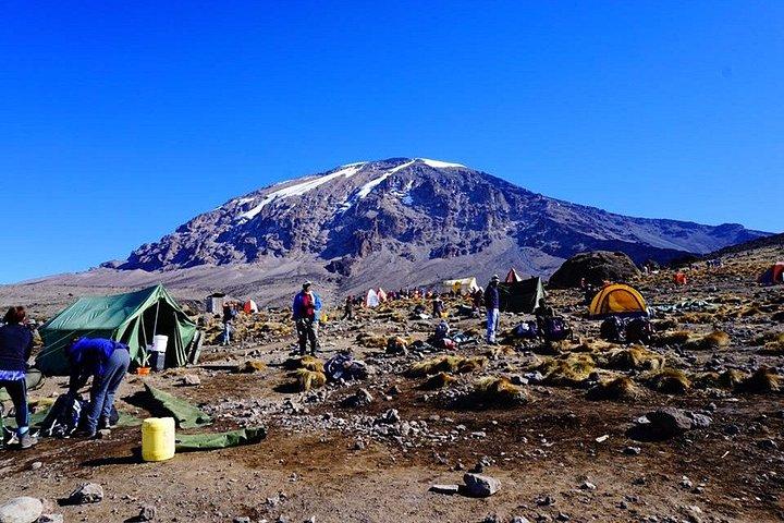 マサイ・マーラ、セレンゲティ、キリマンジャロ登山サファリ21日間