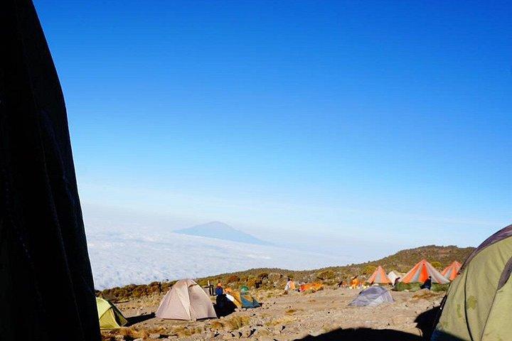 マサイ・マーラ、セレンゲティ、キリマンジャロ登山サファリ21日間