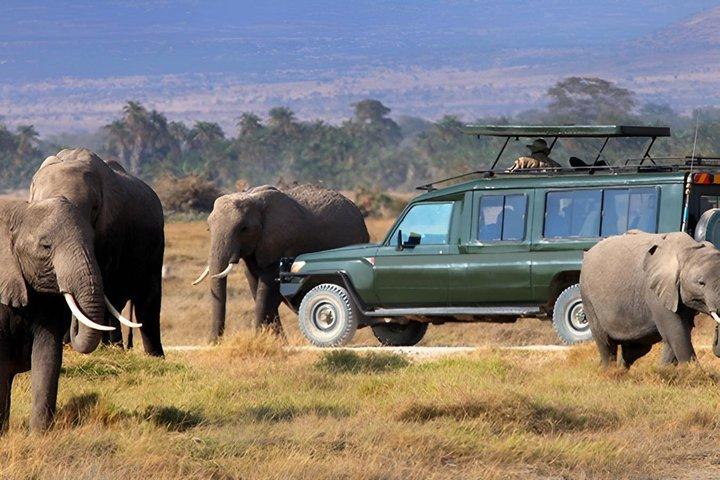 4 dagar Masai Mara Gnu Flying Safari