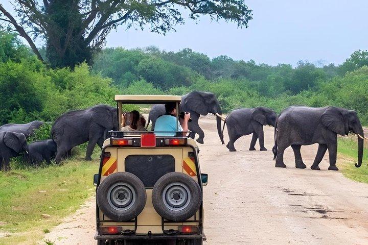 3-daagse Tsavo National Parks Wildlife Luxe Safari vanuit Mombasa