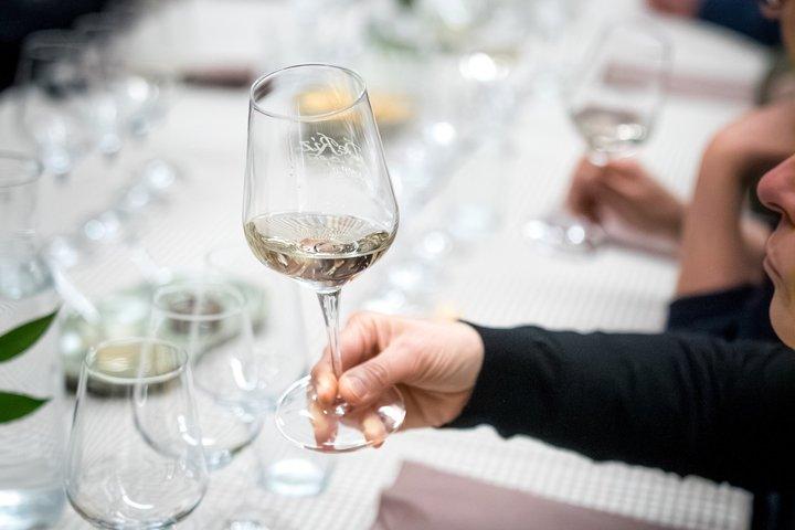 Guidet tur og smagning af 3 vine i Prosecco-bakkerne
