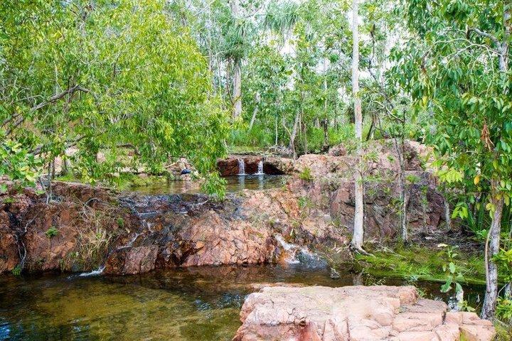 Litchfield Essentials Day Tour from Darwin