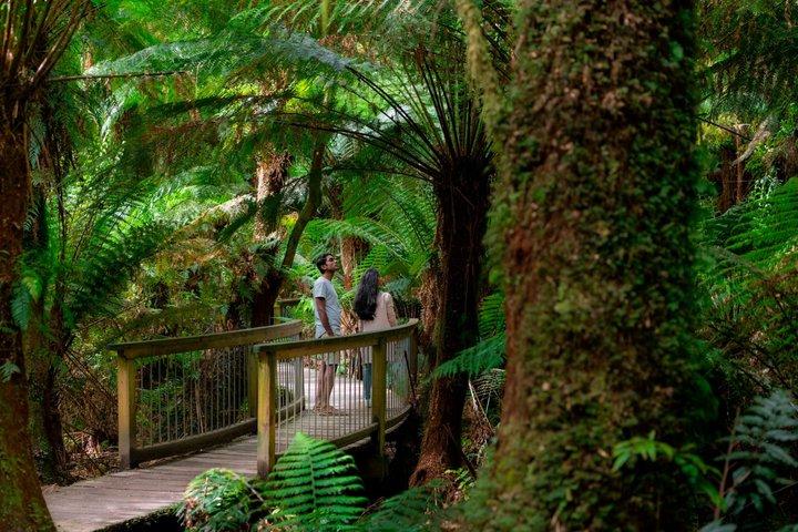 Great Ocean Road Reverse Day Tour from Melbourne | 12 Apostles