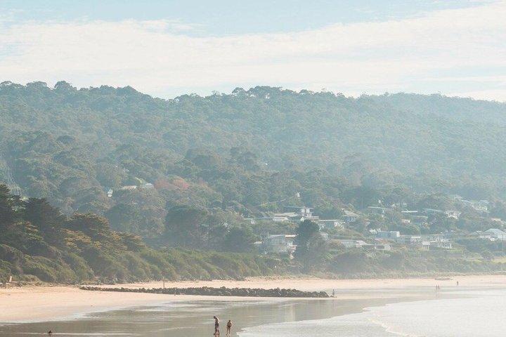 Great Ocean Road omvendt dagstur fra Melbourne | 12 Apostler