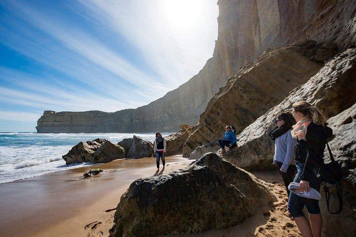 Great Ocean Road omvendt dagstur fra Melbourne | 12 Apostler