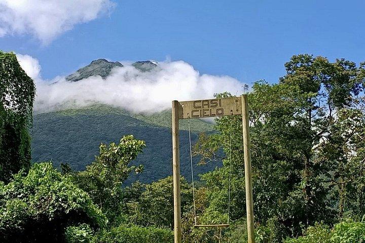 Arenal Volcano Picnic Experience
