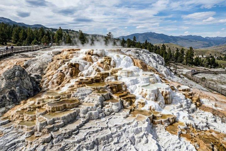 Discover Yellowstone National Park: A Self-Guided Tour