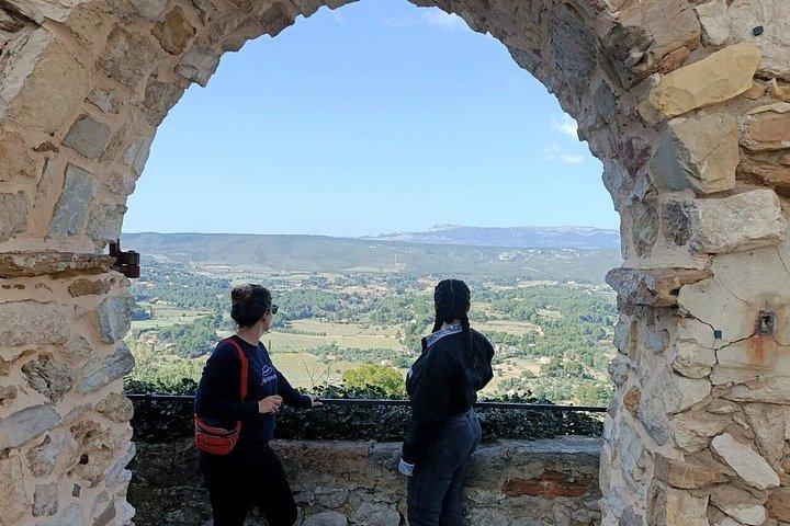 Bandol & Cassis Rosé Wine Tour from Marseille