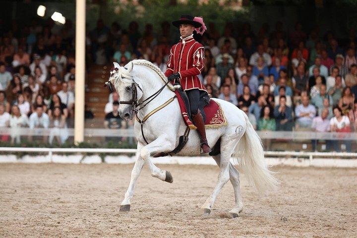 Rideshow Royal Stables of Córdoba