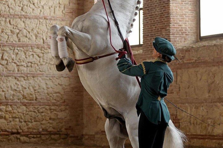 コルドバの馬術ショー王立厩舎