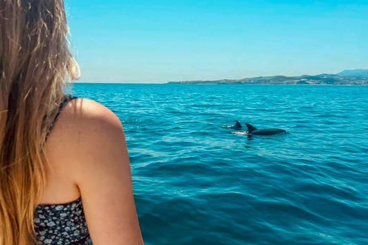 Catamarano Benalmádena: Delfini, tapas e nuotata in mare (2 ore e 30 minuti)