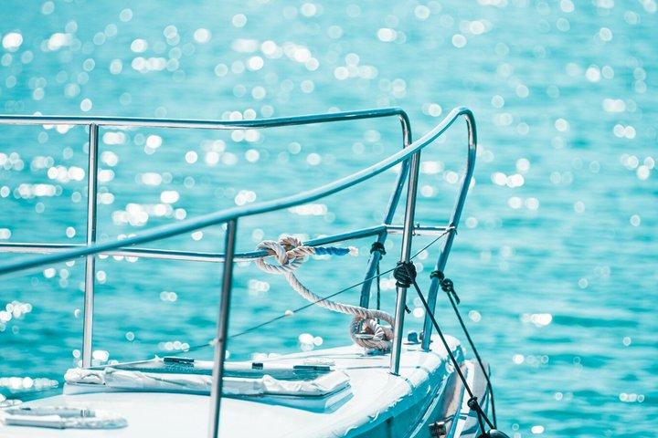 Catamarano Benalmádena: Delfini, tapas e nuotata in mare (2 ore e 30 minuti)
