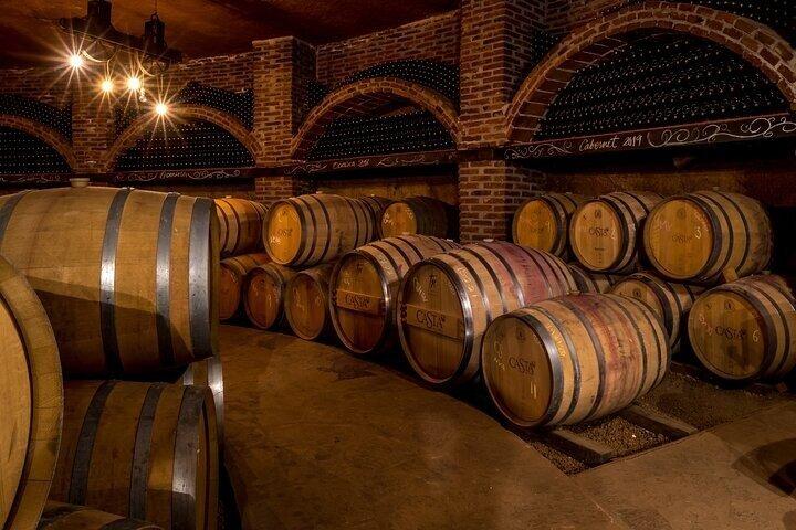 Lobster Lunch & Wine Tour