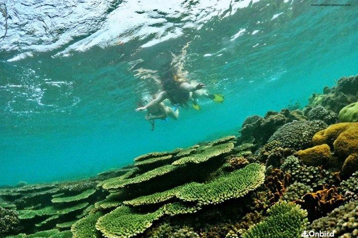 フーコック島半日シュノーケリング体験