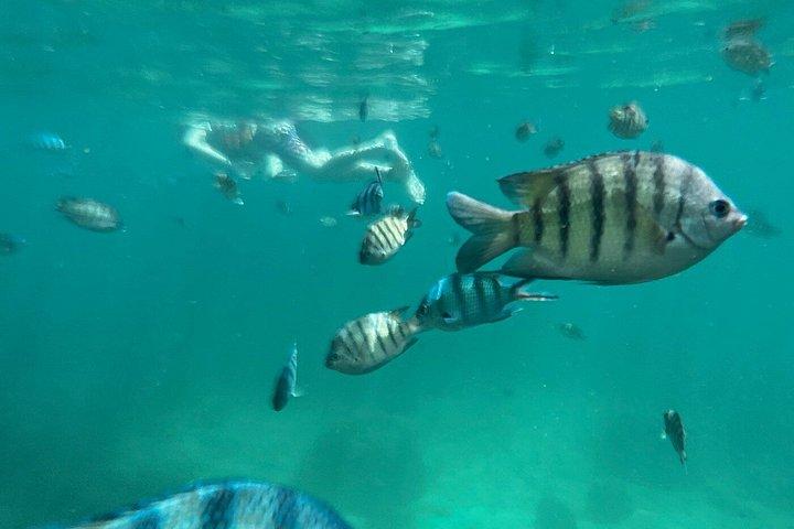 フーコック島半日シュノーケリング体験