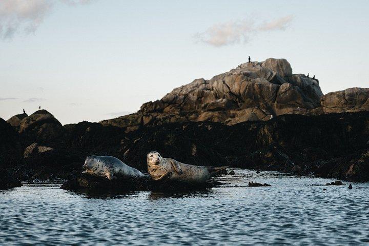 ダブリン・コースト・ウォーク : 現地ガイドとダルキーへ