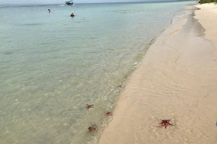 Starfish Beach Trip In Phu Quoc Island