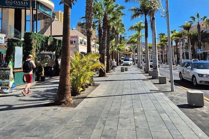 Tenerife sydlige strande tur med guide