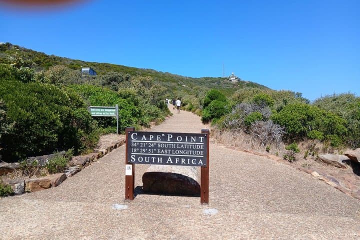Full Private Tour of Cape Peninsula and Boulders Beach Penguins