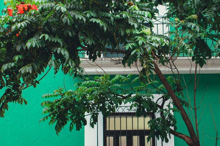Tour della città di Oaxaca